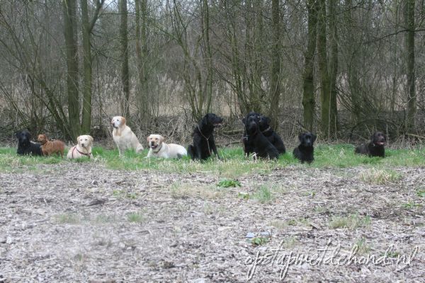 Groepsfoto van de wandeling die we zaterdag maakten in het bos mij Almere