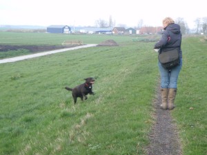 wandelen